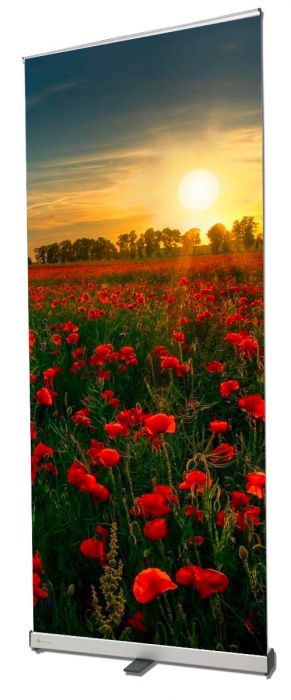 Economic Retractable Stand